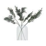 Hill Interiors Blackened Grass Spray Stems arranged in a tall clear glass vase, fanning outward with dark green feathered foliage against a white background.