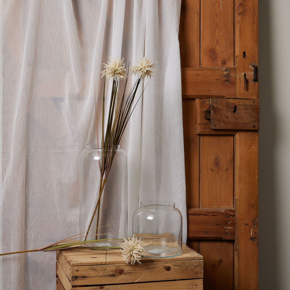 Hill Interiors Cream Aster Spider Chrysanthemum Stems in a tall glass vase beside a smaller vase on a wooden crate, with sheer curtain and rustic door.