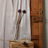 Hill Interiors Burgundy Aster Spider Chrysanthemum Stem displayed in a tall clear glass vase beside a smaller jar on a wooden crate by a sheer curtain.