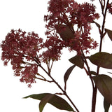 Close-up of Hill Interiors Medium Burgundy Smokebush Stem showing feathery deep red plumes and oval burgundy leaves on a plain white background.