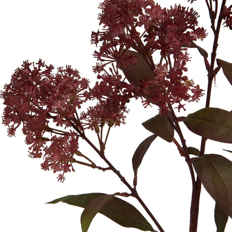Close-up of Hill Interiors Medium Burgundy Smokebush Stem showing feathery deep red plumes and oval burgundy leaves on a plain white background.