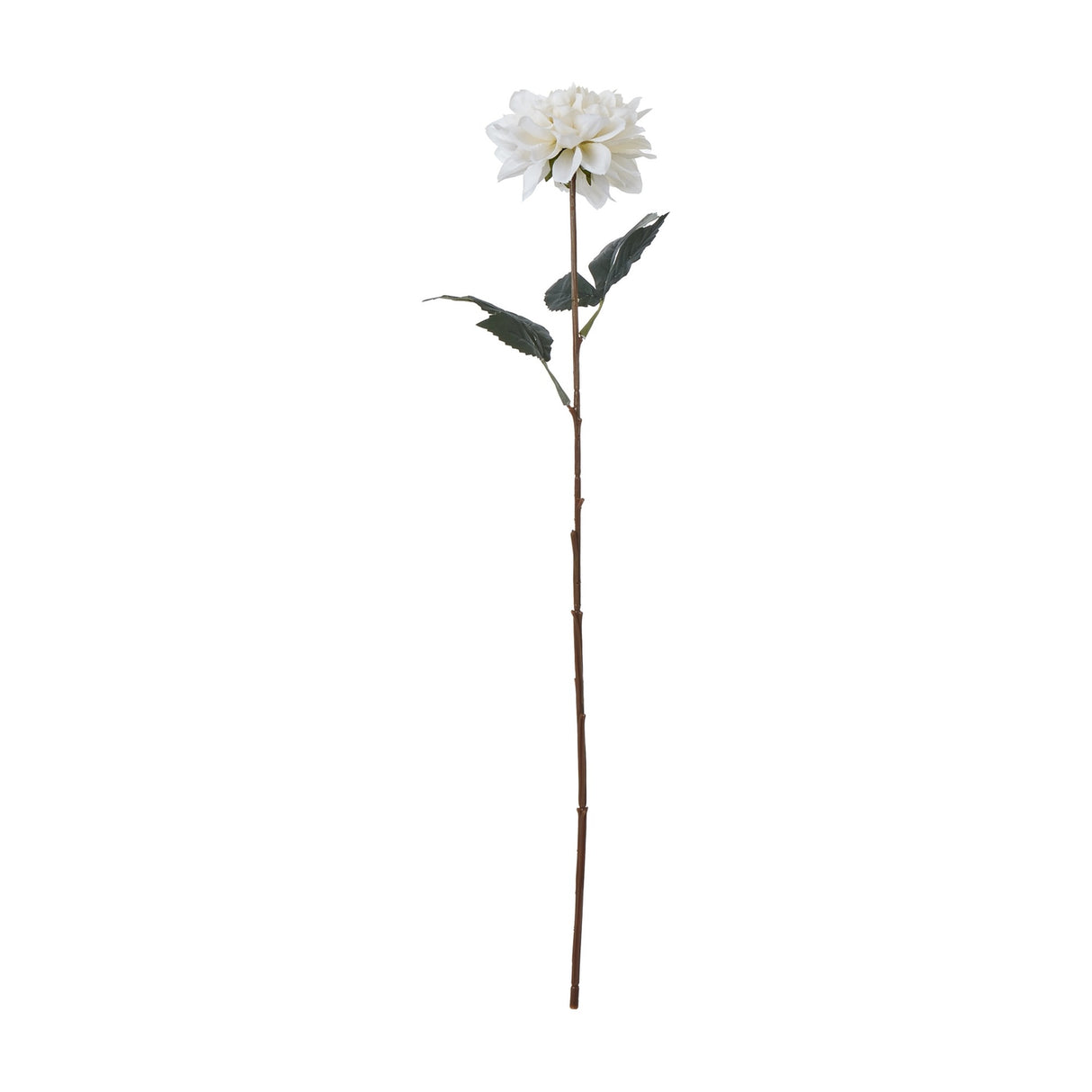 Hill Interiors Tall White Dahlia faux flower stem with layered white bloom and two dark green leaves on a long brown stem, shown on a plain white background.
