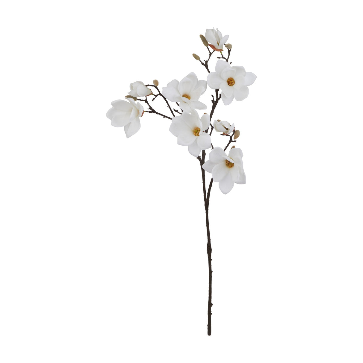 Hill Interiors White Magnolia Stem with layered white blooms, yellow centres, and small buds on a dark branching stem, on a white background.