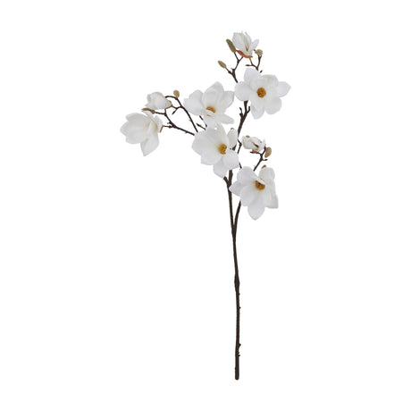 Hill Interiors White Magnolia Stem with layered white blooms, yellow centres, and small buds on a dark branching stem, on a white background.