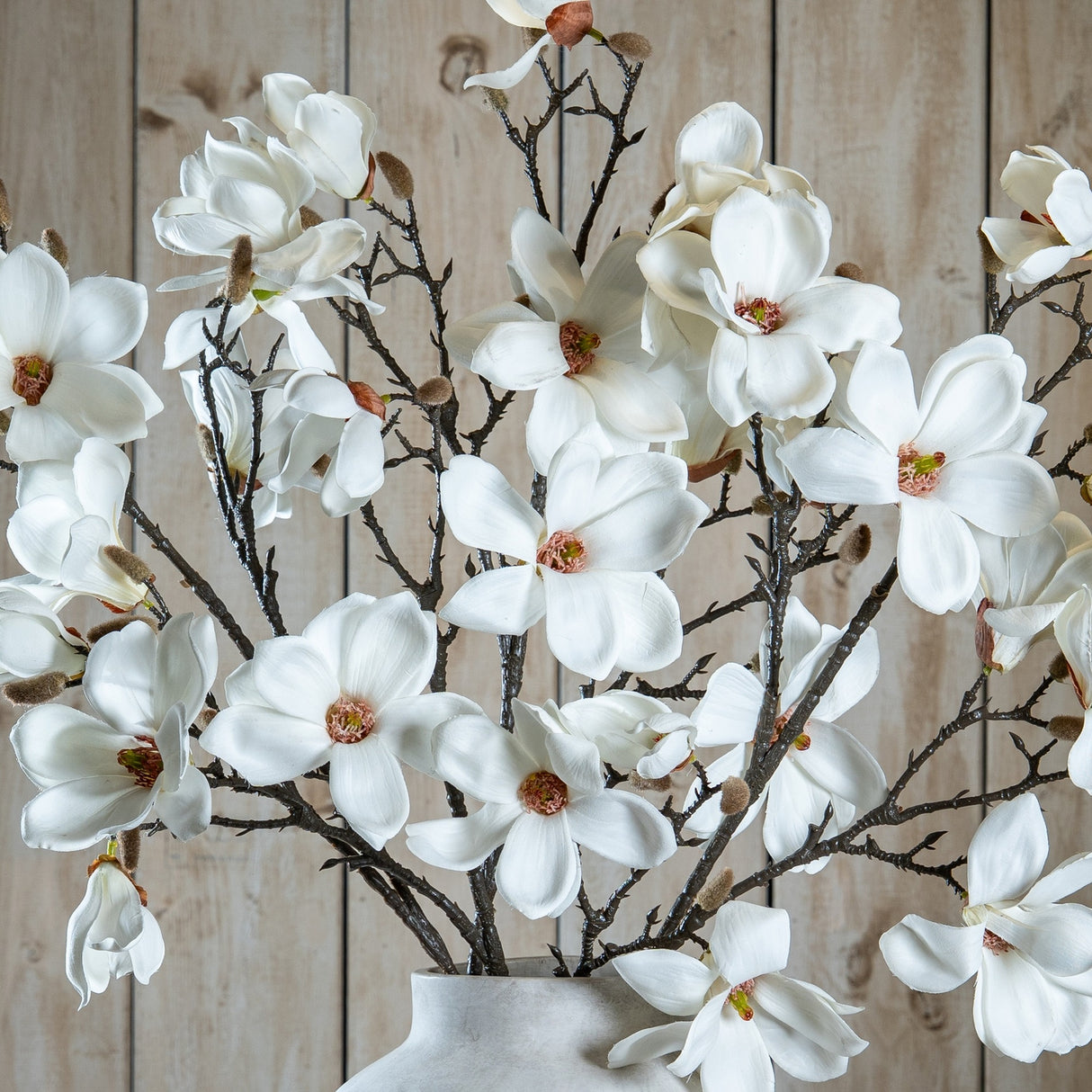 Hill Interiors White Magnolia Stems arranged in a pale ceramic vase, showing broad white blooms and furred buds on dark branches against a wood plank backdrop.
