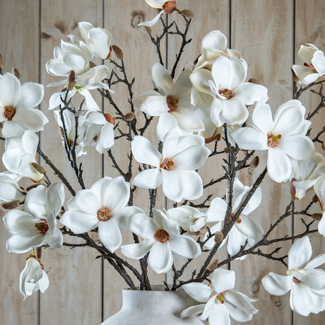 Hill Interiors White Magnolia Stems arranged in a pale ceramic vase, showing broad white blooms and furred buds on dark branches against a wood plank backdrop.