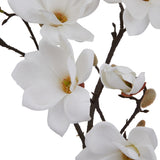 Close-up of Hill Interiors White Magnolia Stem showing cupped white petals with yellow centres and furry buds along dark branches on a white background.