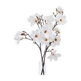 Hill Interiors White Magnolia Stem with layered blooms and buds on dark branches, arranged in a clear glass vase against a white background.