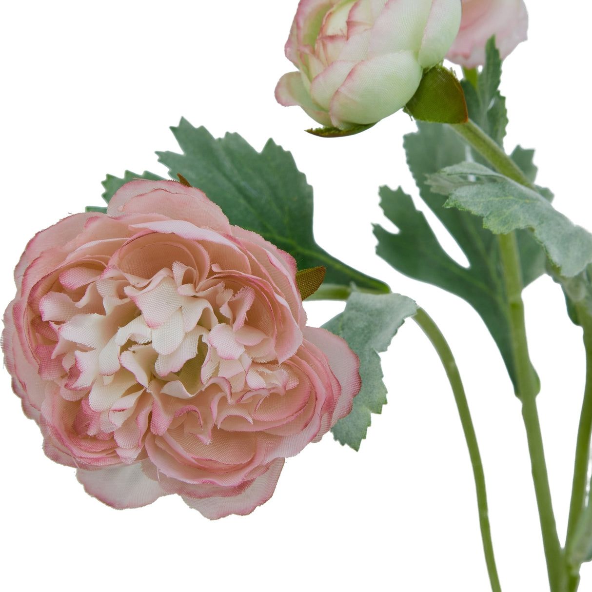 Hill Interiors Pink Ranunculus faux stem shown close-up with a blush ruffled bloom, a pale pink bud, and green leaves on a white background.