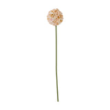 Hill Interiors White & Apricot Allium faux stem with a globe-shaped cluster of tiny florets on a tall green plastic stem, shown on a white background.