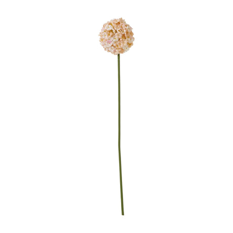 Hill Interiors White & Apricot Allium faux stem with a globe-shaped cluster of tiny florets on a tall green plastic stem, shown on a white background.