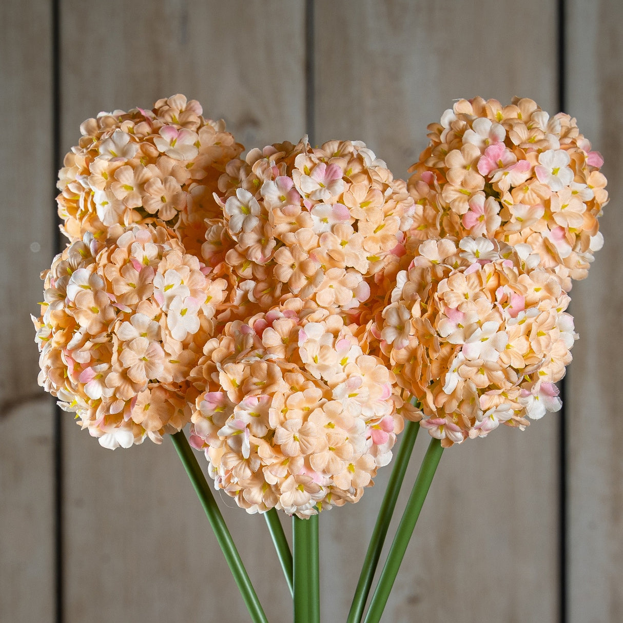 Hill Interiors White & Apricot Allium faux stems with rounded pom-pom heads of tiny white-to-apricot florets on green stems, against pale wood planks.