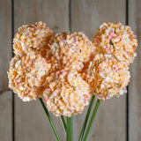 Hill Interiors White & Apricot Allium faux stems with rounded pom-pom heads of tiny white-to-apricot florets on green stems, against pale wood planks.