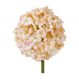 Hill Interiors White & Apricot Allium faux stem with a globe-shaped cluster of tiny florets in soft white to apricot tones on a plain background.