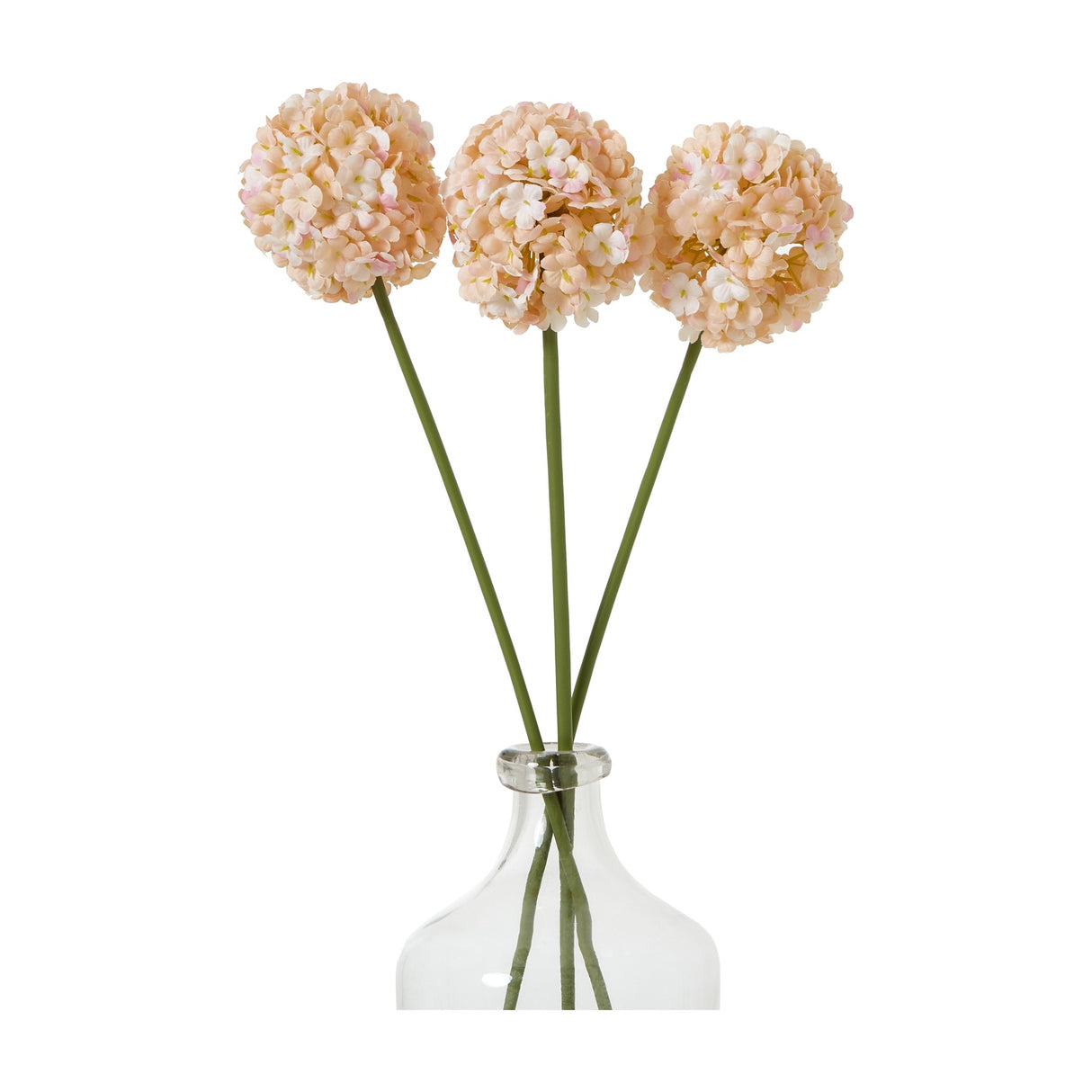 Three Hill Interiors White & Apricot Allium faux stems with globe-shaped florets in cream to apricot tones, arranged in a clear glass bottle vase.