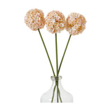 Three Hill Interiors White & Apricot Allium faux stems with globe-shaped florets in cream to apricot tones, arranged in a clear glass bottle vase.