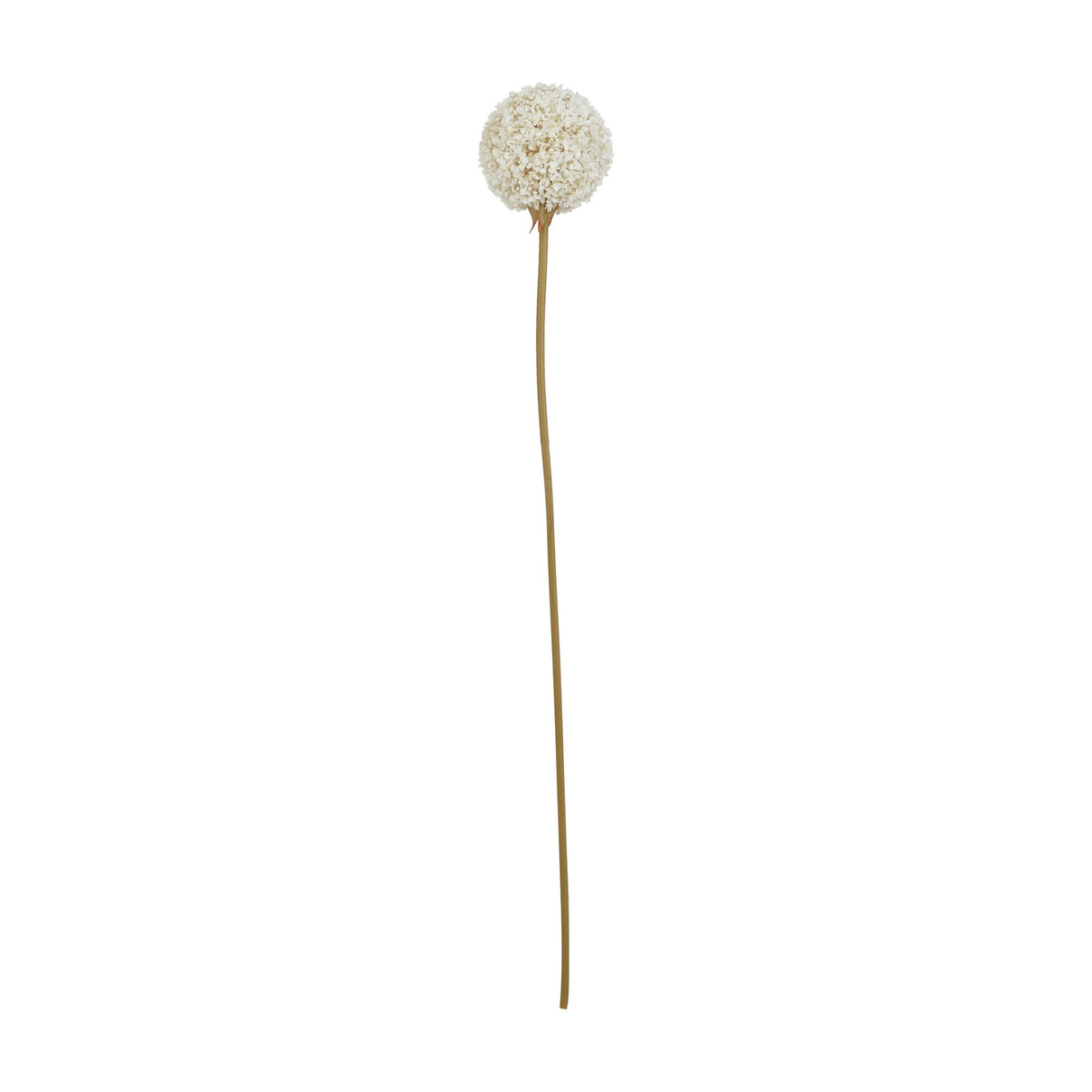 Hill Interiors White Allium faux flower stem with a rounded cluster of tiny white florets on a slender tan stem, shown on a plain white background.