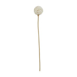 Hill Interiors White Allium faux flower stem with a rounded cluster of tiny white florets on a slender tan stem, shown on a plain white background.