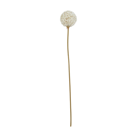 Hill Interiors White Allium faux flower stem with a rounded cluster of tiny white florets on a slender tan stem, shown on a plain white background.