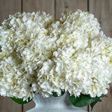 Hill Interiors White Allium faux stems with dense clusters of small white florets, arranged in a pale stone vase against a wooden plank background.