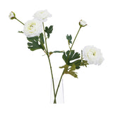 Hill Interiors White Ranunculus faux stems with ruffled cream blooms and buds arranged in a clear glass vase against a white background.