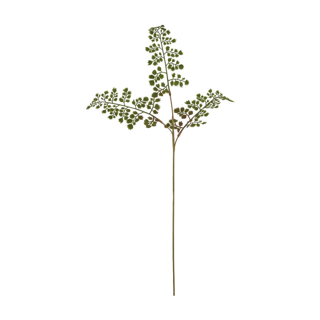 Hill Interiors Maidenhair Fern Stem with fan-shaped green leaves on fine dark stalks, shown against a plain white background.