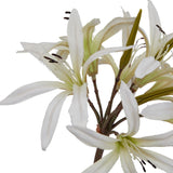 Close-up of Hill Interiors White Nerine Lily Stem showing slender curled white petals with fine dark stamens and green stems against a plain white background.