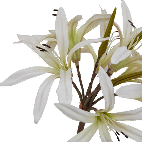 Close-up of Hill Interiors White Nerine Lily Stem showing slender curled white petals with fine dark stamens and green stems against a plain white background.