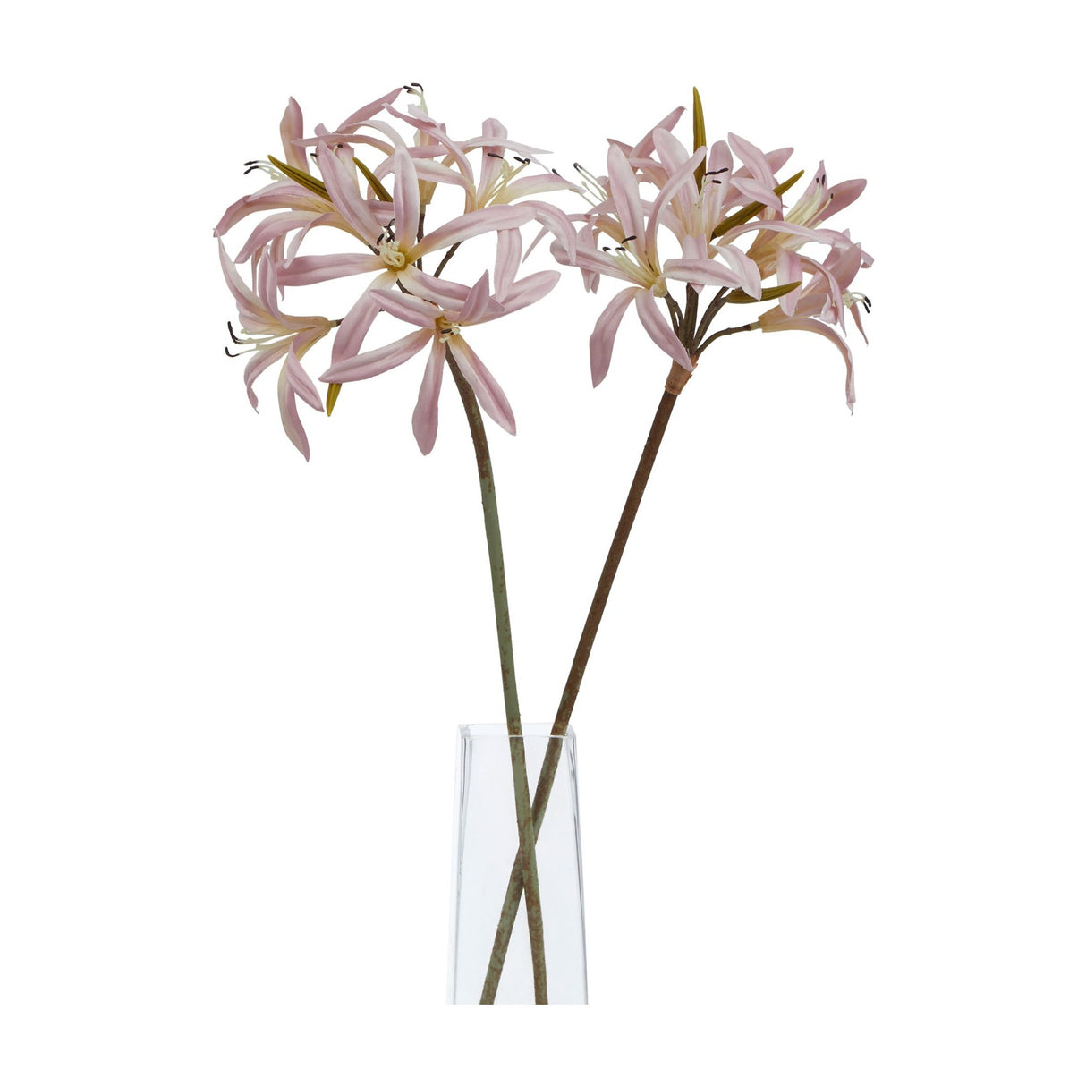 Two Hill Interiors Pink Lily Stems with blush petals, slender stamens and green foliage, arranged in a clear glass vase against a plain white background.