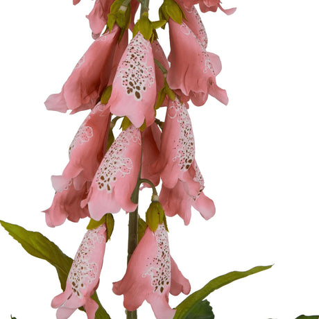 Close-up of Hill Interiors Pale Pink Foxglove faux stem showing bell-shaped blooms with speckled throats and slim green leaves on a white background.