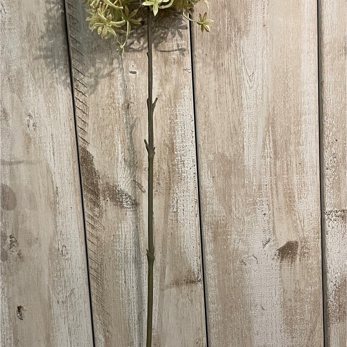 Hill Interiors Green and Beige Allium faux stem showing the slender upright plastic stem and globe floret head against pale wooden planks.