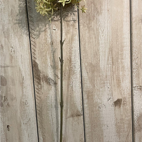 Hill Interiors Green and Beige Allium faux stem showing the slender upright plastic stem and globe floret head against pale wooden planks.