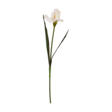 Hill Interiors Pale Apricot Fringed Iris faux flower stem with ruffled peach petals and slender green leaves, shown against a plain white background.