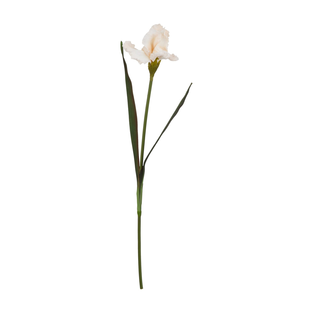 Hill Interiors Pale Apricot Fringed Iris faux flower stem with ruffled peach petals and slender green leaves, shown against a plain white background.