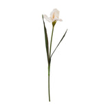 Hill Interiors Pale Apricot Fringed Iris faux flower stem with ruffled peach petals and slender green leaves, shown against a plain white background.