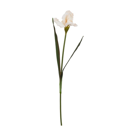 Hill Interiors Pale Apricot Fringed Iris faux flower stem with ruffled peach petals and slender green leaves, shown against a plain white background.