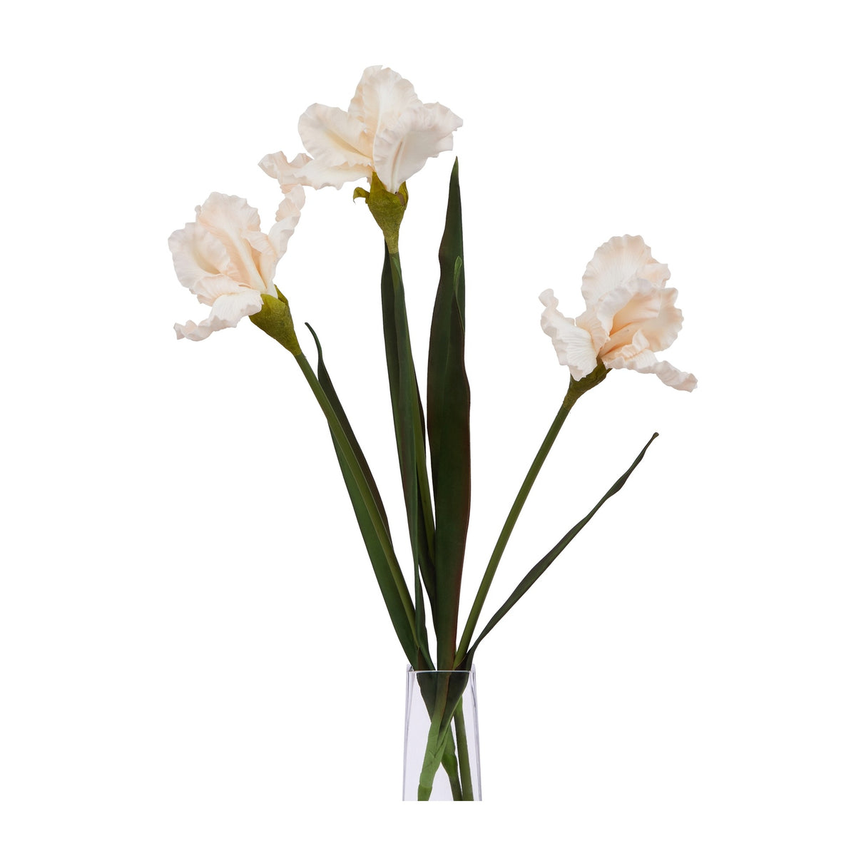 Hill Interiors Pale Apricot Fringed Iris faux stems with three ruffled blooms and slender green leaves in a clear glass vase on a white background.