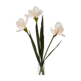 Hill Interiors Pale Apricot Fringed Iris faux stems with three ruffled blooms and slender green leaves in a clear glass vase on a white background.