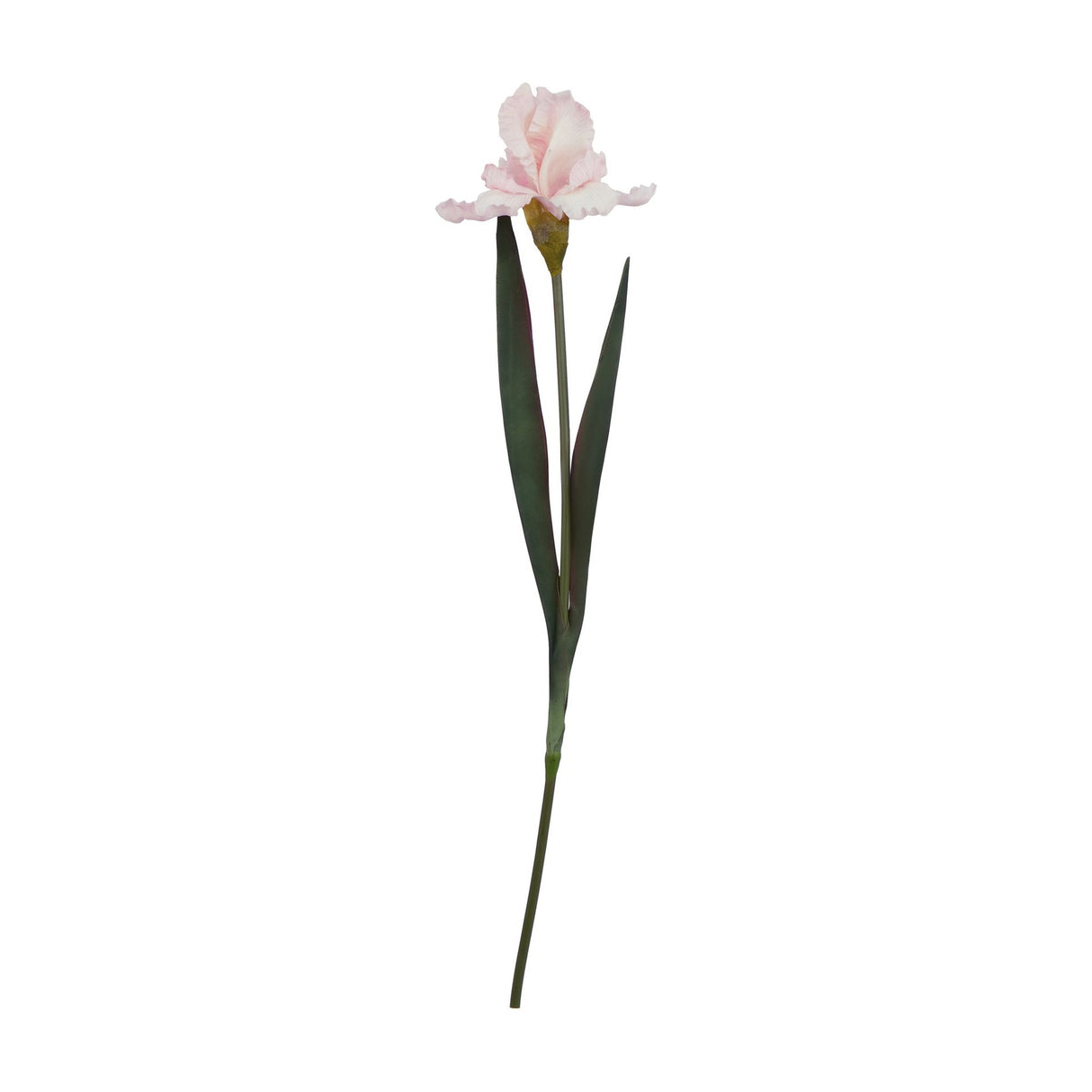 Hill Interiors Pale Pink Fringed Iris faux flower stem with ruffled pink bloom and slim green foliage on a plain white background.