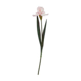 Hill Interiors Pale Pink Fringed Iris faux flower stem with ruffled pink bloom and slim green foliage on a plain white background.