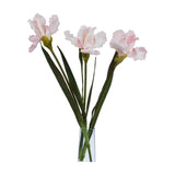 Three Hill Interiors Pale Pink Fringed Iris faux stems with ruffled petals and slim green foliage arranged in a clear glass vase against a white background.