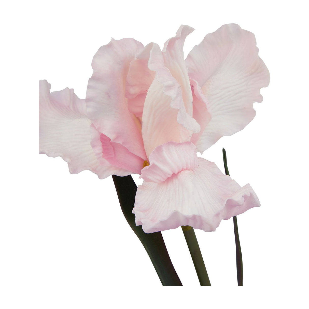 Close-up of the Hill Interiors Pale Pink Fringed Iris faux flower stem, showing ruffled feathered petals in soft pink with green stem on a white background.
