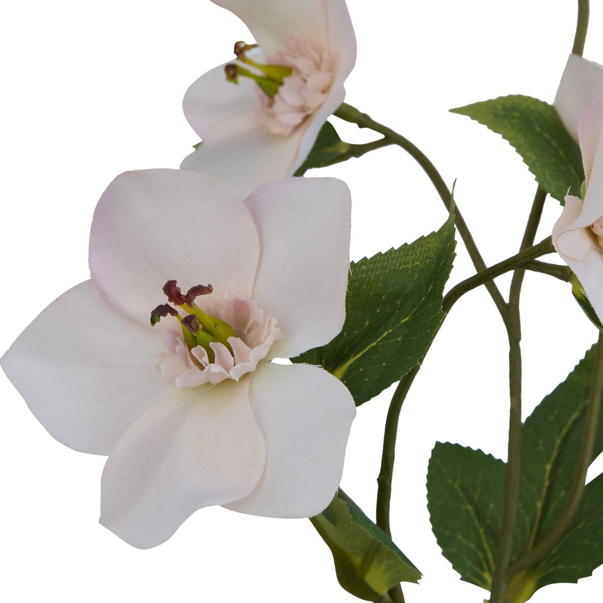 Close-up of Hill Interiors Pale Apricot Hellibore faux stem showing ruffled cream petals with pink blush, dark stamens, and green serrated leaves.