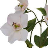 Close-up of Hill Interiors Pale Apricot Hellibore faux stem showing ruffled cream petals with pink blush, dark stamens, and green serrated leaves.