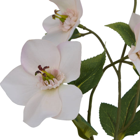 Close-up of Hill Interiors Pale Apricot Hellibore faux stem showing ruffled cream petals with pink blush, dark stamens, and green serrated leaves.