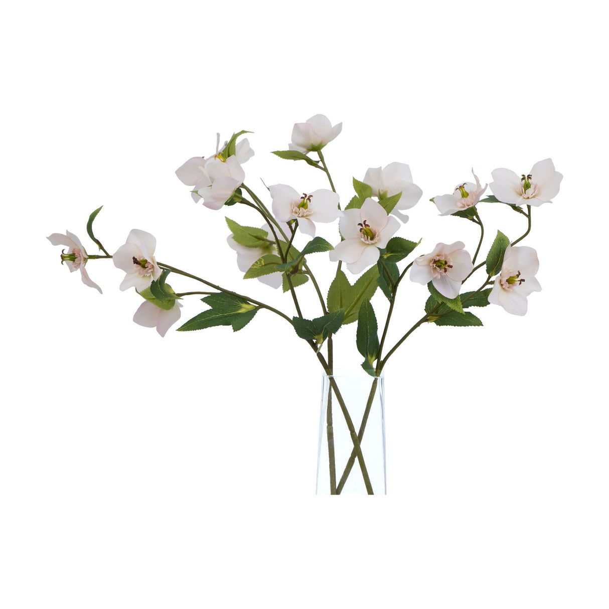 Hill Interiors Pale Apricot Hellibore faux flower stems with soft cream-apricot blooms and green leaves arranged in a clear glass vase on white.