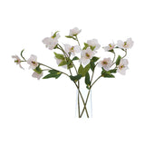 Hill Interiors Pale Apricot Hellibore faux flower stems with soft cream-apricot blooms and green leaves arranged in a clear glass vase on white.