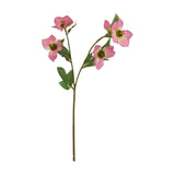 Hill Interiors Pink Varigated Hellibore faux flower stem with four pink cupped blooms and green leaves on a plain white background.