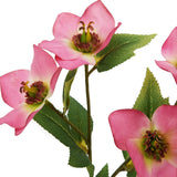 Close-up of Hill Interiors Pink Varigated Hellibore faux stem showing cupped pink petals with veined detail and serrated green leaves on a white background.