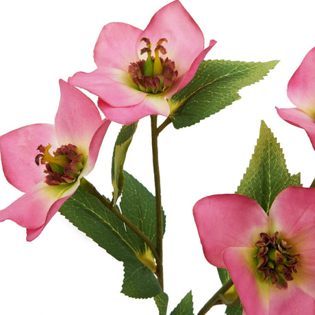 Close-up of Hill Interiors Pink Varigated Hellibore faux stem showing cupped pink petals with veined detail and serrated green leaves on a white background.
